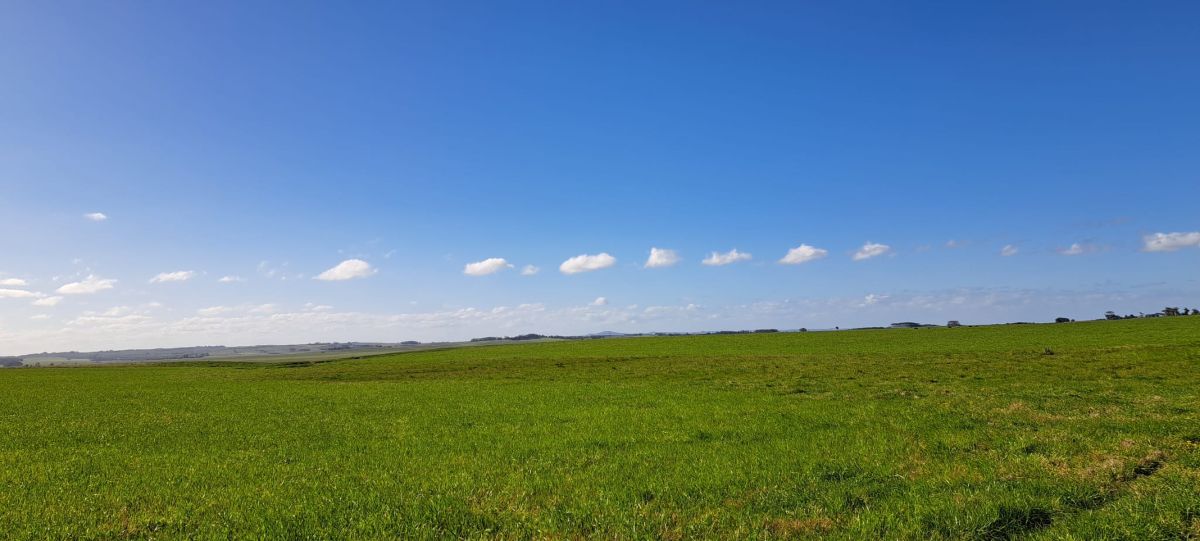 Weite Landschaft in Uruguay mit Himmel und Natur